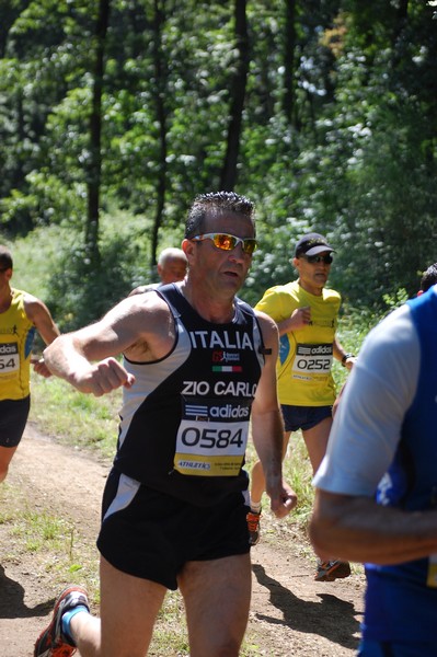 Trofeo Città di Nettuno (02/06/2013) 00030
