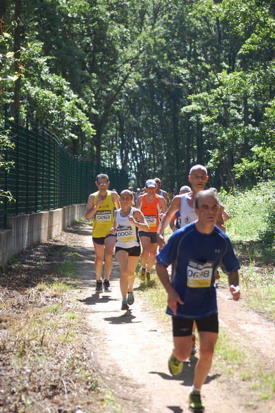 Trofeo Città di Nettuno (02/06/2013) 00040