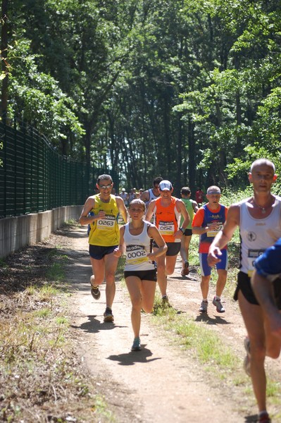 Trofeo Città di Nettuno (02/06/2013) 00042