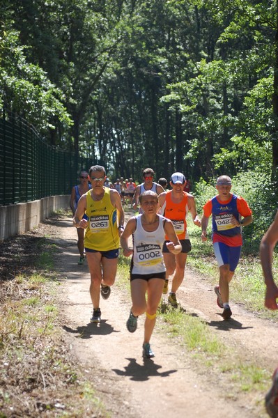 Trofeo Città di Nettuno (02/06/2013) 00043