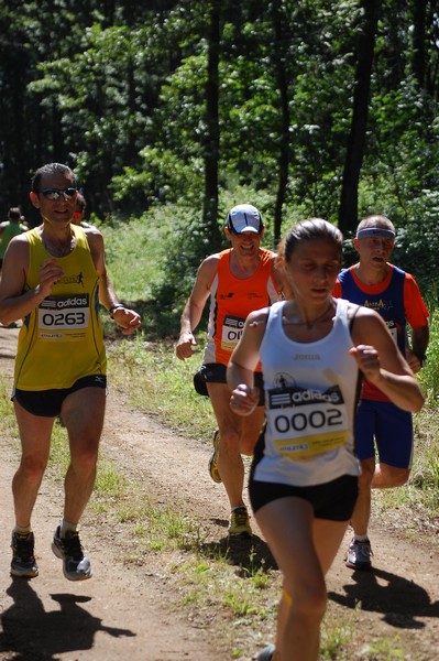 Trofeo Città di Nettuno (02/06/2013) 00046