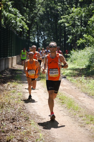 Trofeo Città di Nettuno (02/06/2013) 00124