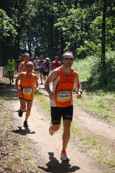 Trofeo Città di Nettuno (02/06/2013) 00125