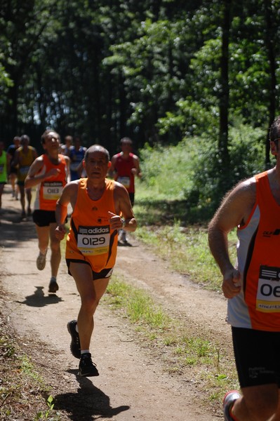 Trofeo Città di Nettuno (02/06/2013) 00127