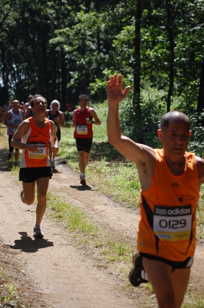 Trofeo Città di Nettuno (02/06/2013) 00129
