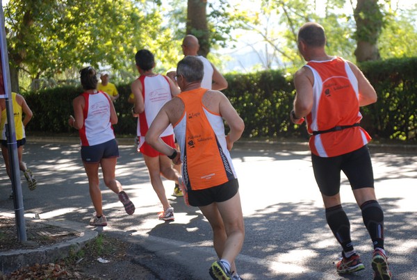 Trofeo delle Sette Contrade  (C.E.) (01/09/2013) 00027