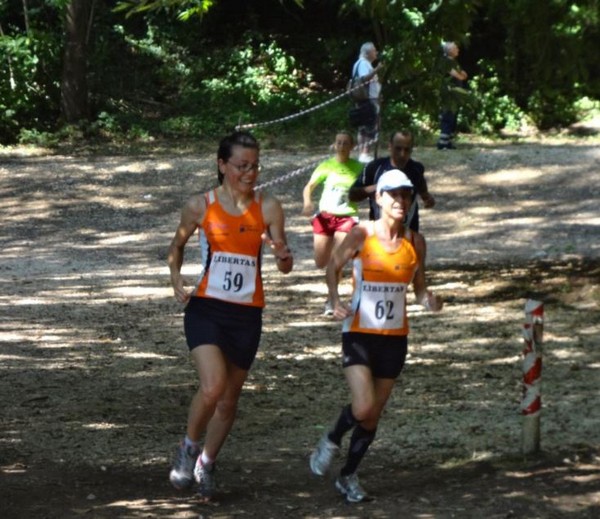 Corri tra i boschi della Fonte Ontanese (crit. estivo) (07/07/2013) 00021
