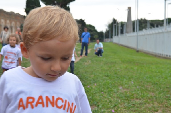 Trofeo Arancini Podistica Solidarietà (29/09/2013) 00020