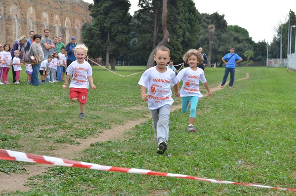 Trofeo Arancini Podistica Solidarietà (29/09/2013) 00035