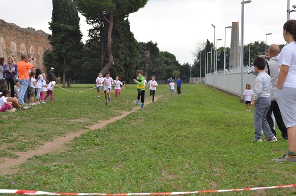 Trofeo Arancini Podistica Solidarietà (29/09/2013) 00077