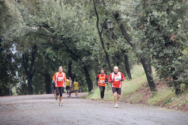 RUNAID's (24/11/2013) 00030