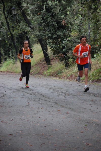 RUNAID's (24/11/2013) 00032