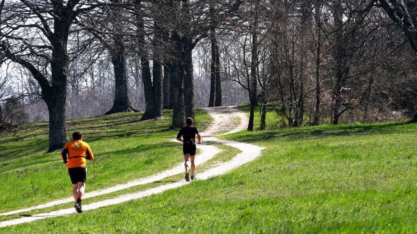 Ecomaratona dei Monti Cimini (Crit. Trail) (07/04/2013) 029