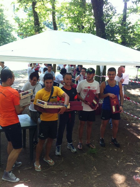 Corri tra i boschi della Fonte Ontanese (crit. estivo) (07/07/2013) 021
