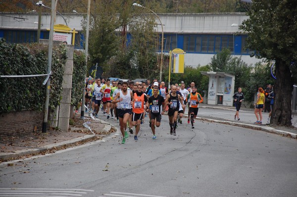 Mezza Maratona a Staffetta - Trofeo Arcobaleno (01/12/2013) 00003