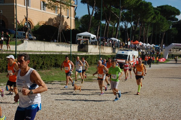Maratona di Roma a Staffetta (19/10/2013) 00050