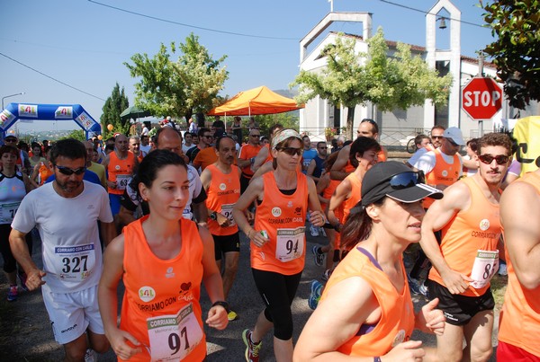 Corriamo con Carlo (16/06/2013) 00059