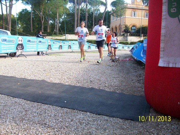 Di Corsa Verso la Sicurezza Stradale (10/11/2013) 00043