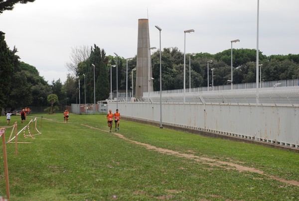 Trofeo Podistica Solidarietà (29/09/2013) 00001
