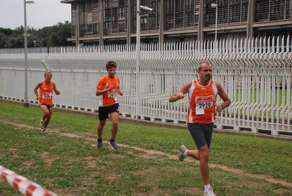 Trofeo Podistica Solidarietà (29/09/2013) 00013