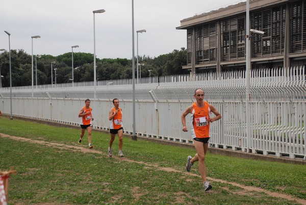 Trofeo Podistica Solidarietà (29/09/2013) 00014