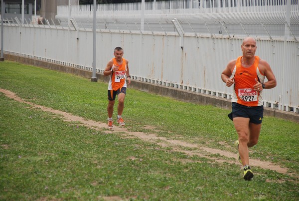 Trofeo Podistica Solidarietà (29/09/2013) 00023