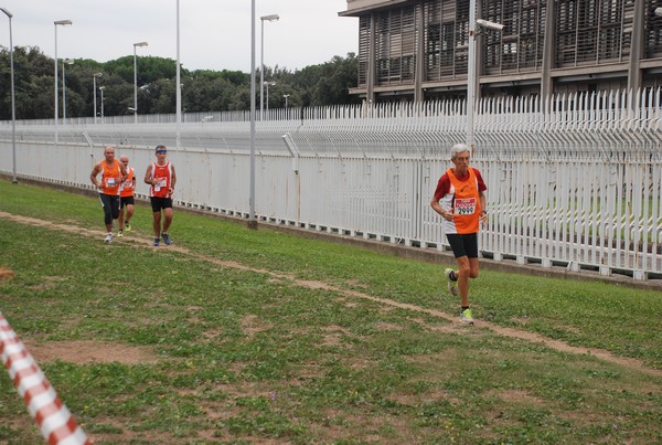 Trofeo Podistica Solidarietà (29/09/2013) 00037