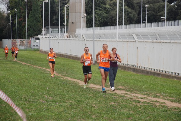 Trofeo Podistica Solidarietà (29/09/2013) 00062