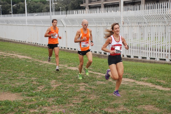 Trofeo Podistica Solidarietà (29/09/2013) 00069