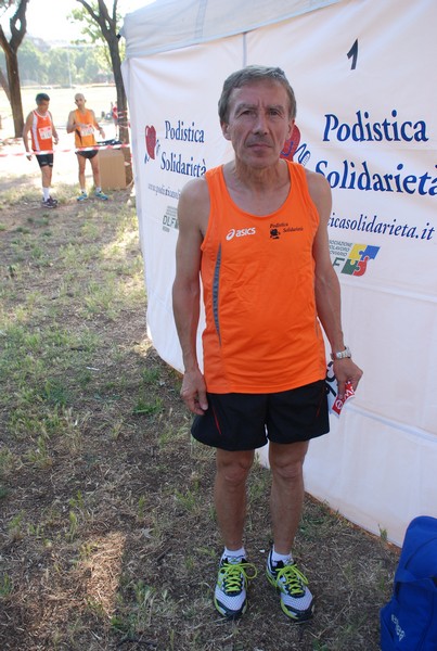 Solstizio d'estate (19/06/2013) 00021