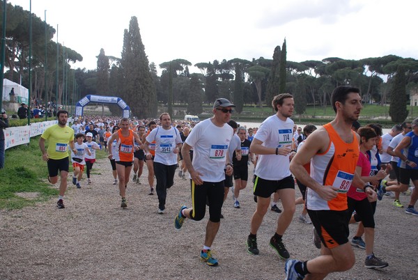 Walk of life - Corri per Telethon (21/04/2013) 00098