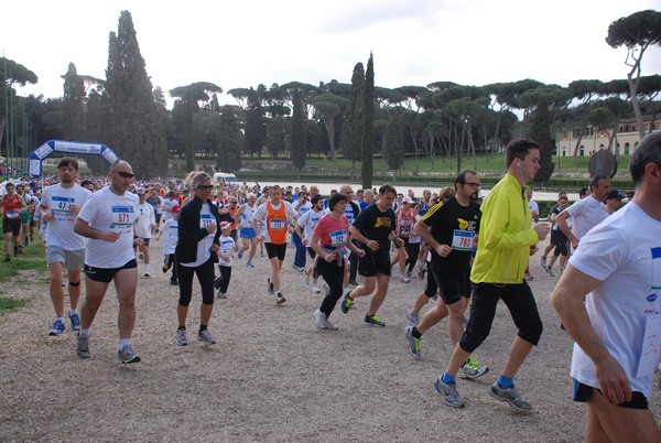 Walk of life - Corri per Telethon (21/04/2013) 00137