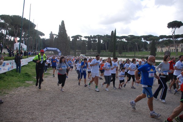 Walk of life - Corri per Telethon (21/04/2013) 00148