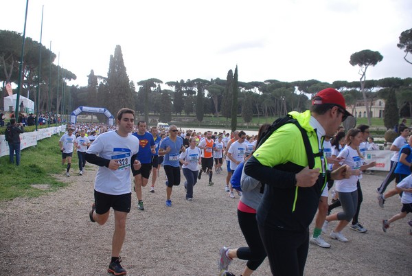 Walk of life - Corri per Telethon (21/04/2013) 00151