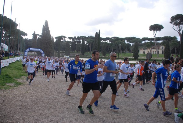 Walk of life - Corri per Telethon (21/04/2013) 00152