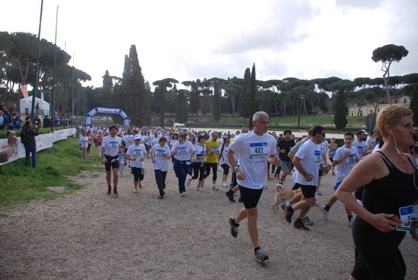 Walk of life - Corri per Telethon (21/04/2013) 00169