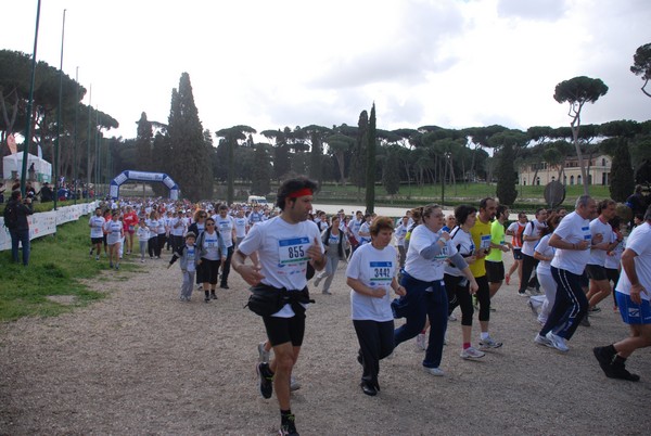 Walk of life - Corri per Telethon (21/04/2013) 00173