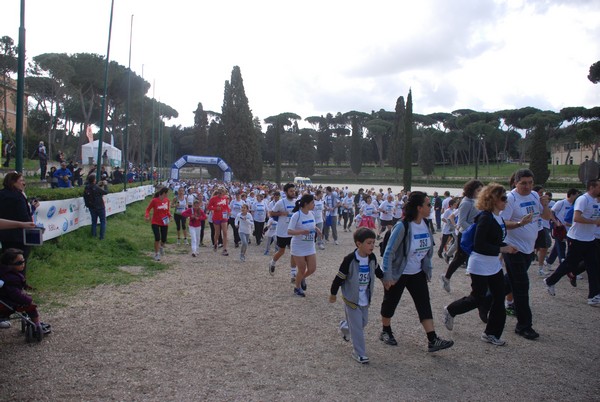Walk of life - Corri per Telethon (21/04/2013) 00176