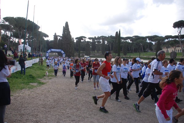 Walk of life - Corri per Telethon (21/04/2013) 00184