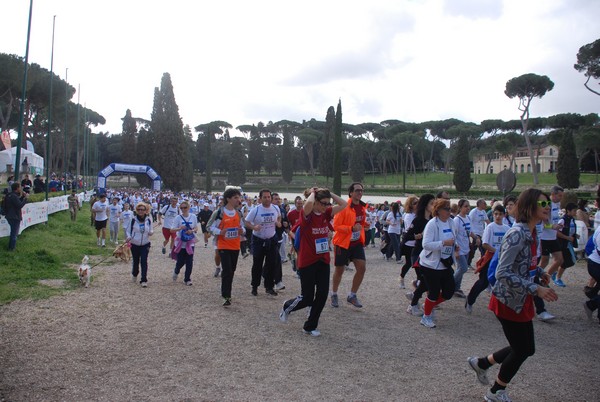 Walk of life - Corri per Telethon (21/04/2013) 00188