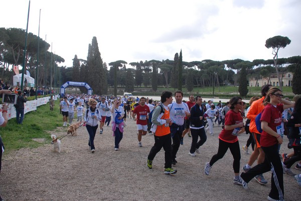 Walk of life - Corri per Telethon (21/04/2013) 00189