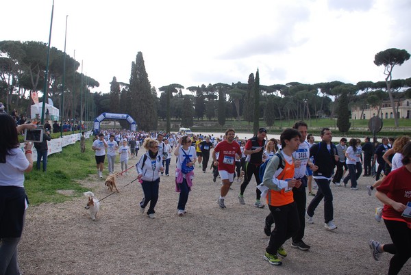 Walk of life - Corri per Telethon (21/04/2013) 00190