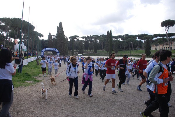 Walk of life - Corri per Telethon (21/04/2013) 00191