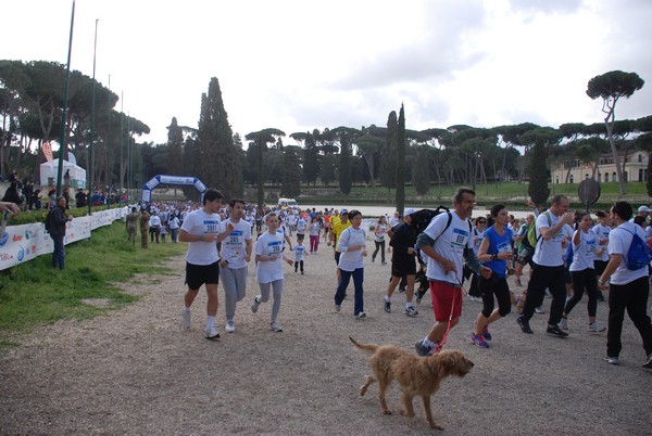 Walk of life - Corri per Telethon (21/04/2013) 00192