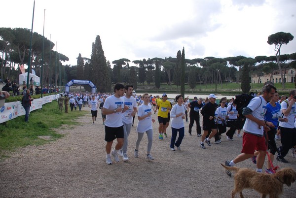 Walk of life - Corri per Telethon (21/04/2013) 00193