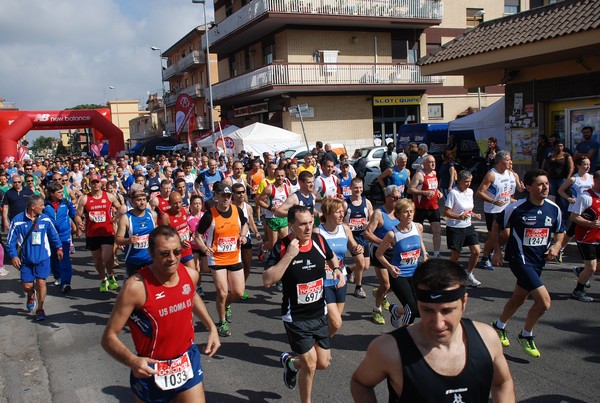 Corri nel Campus (12/05/2013) 00070