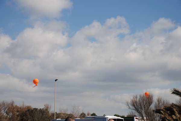 Roma-Ostia (03/03/2013) 00015