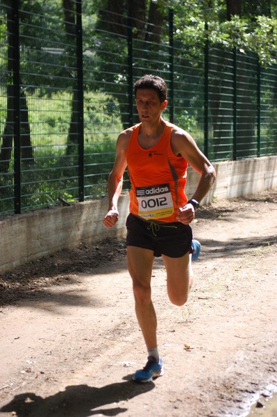 Trofeo Città di Nettuno (02/06/2013) 00014