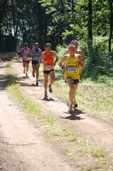 Trofeo Città di Nettuno (02/06/2013) 00047