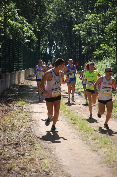 Trofeo Città di Nettuno (02/06/2013) 00134